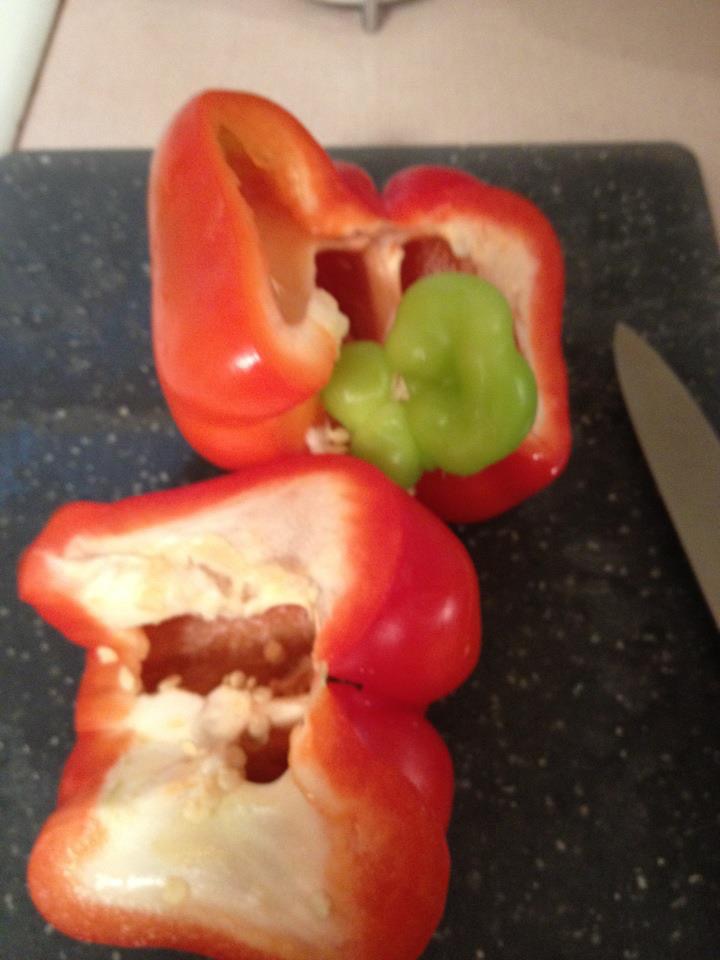 BFAA1B70-0E9B-4095-89DA-B7DC11301B5E