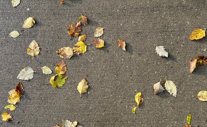 Putting the Pieces&nbsp;Together